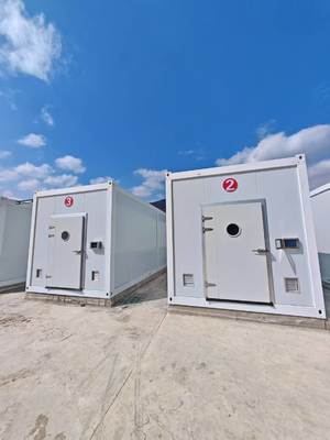 καλλιέργεια μανιταριών