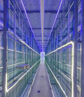 Φάρμα για κοντέινερ μανιταριών χαμηλής συντήρησης με απομακρυσμένη παρακολούθηση και τυποποιημένο κοντέινερ 20ft ή 40ft