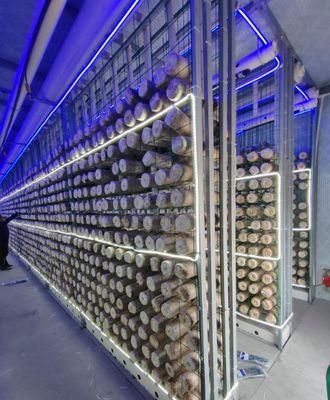 Φάρμα για κοντέινερ μανιταριών χαμηλής συντήρησης με απομακρυσμένη παρακολούθηση και τυποποιημένο κοντέινερ 20ft ή 40ft